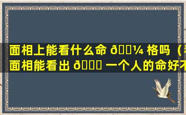 面相上能看什么命 🌼 格吗（看面相能看出 🐕 一个人的命好不好吗）